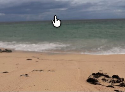 Warwick Long Bay Beach-Warwick Parish必去景点