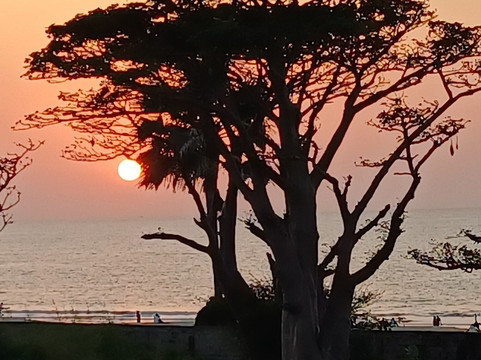 Swiss Boutique Hotel主图