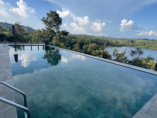 African Gorilla Expeditions-坎帕拉必去景点