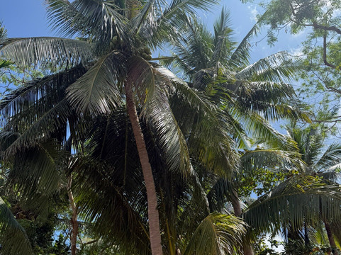 Ocam Ocam Beach-Busuanga Island必去景点
