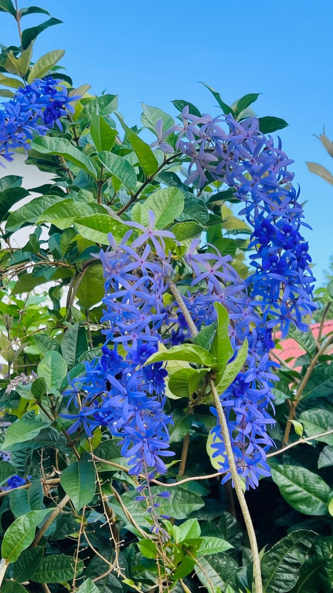 L'Auberge de Nadege-酒店景观