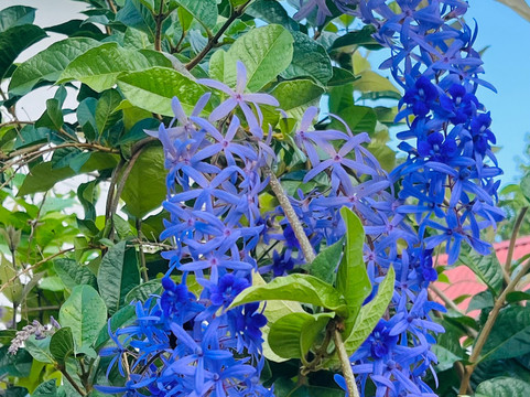 L'Auberge de Nadege主图