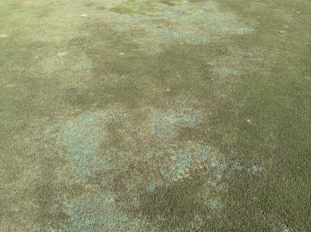 Trump National Doral Golf Course-多拉必去景点