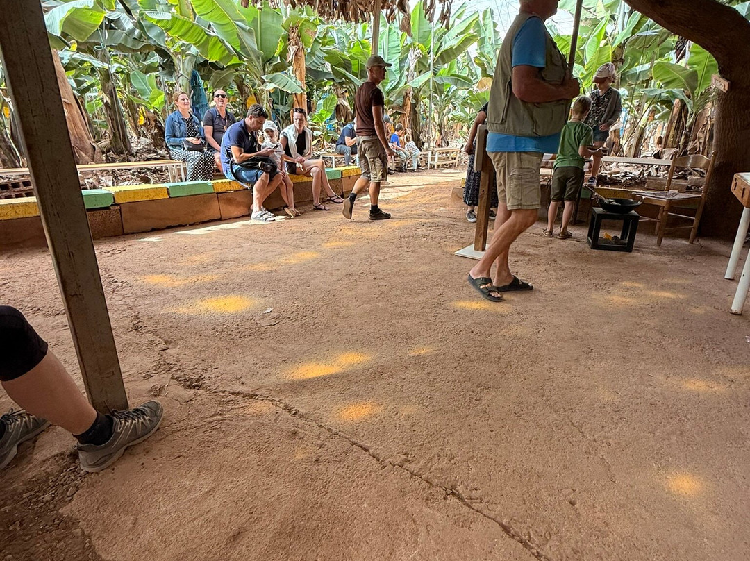 Finca Las Margaritas Banana Experience-拉斯加勒塔斯必去景点