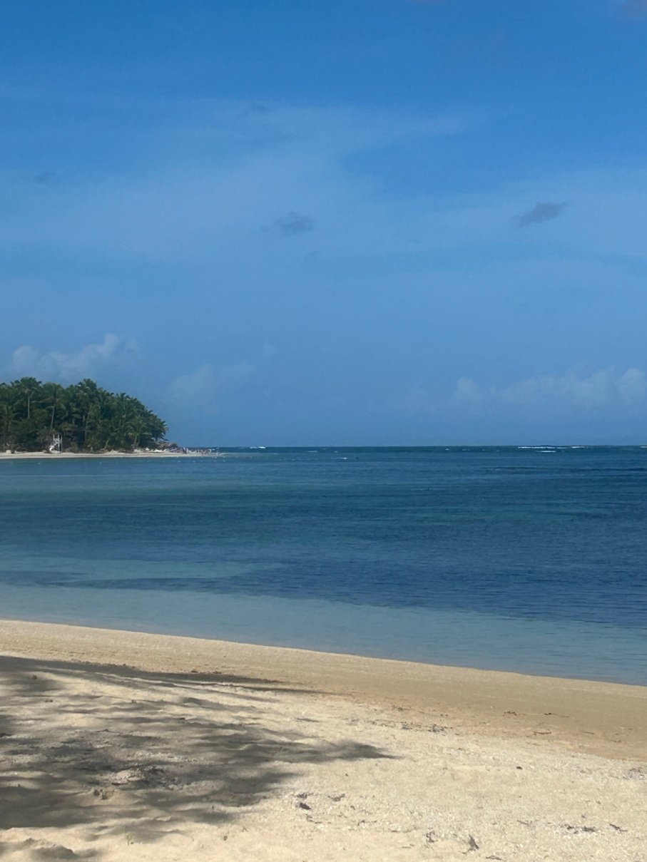 大巴伊亚王子波蒂略酒店 - 全包式-泳池