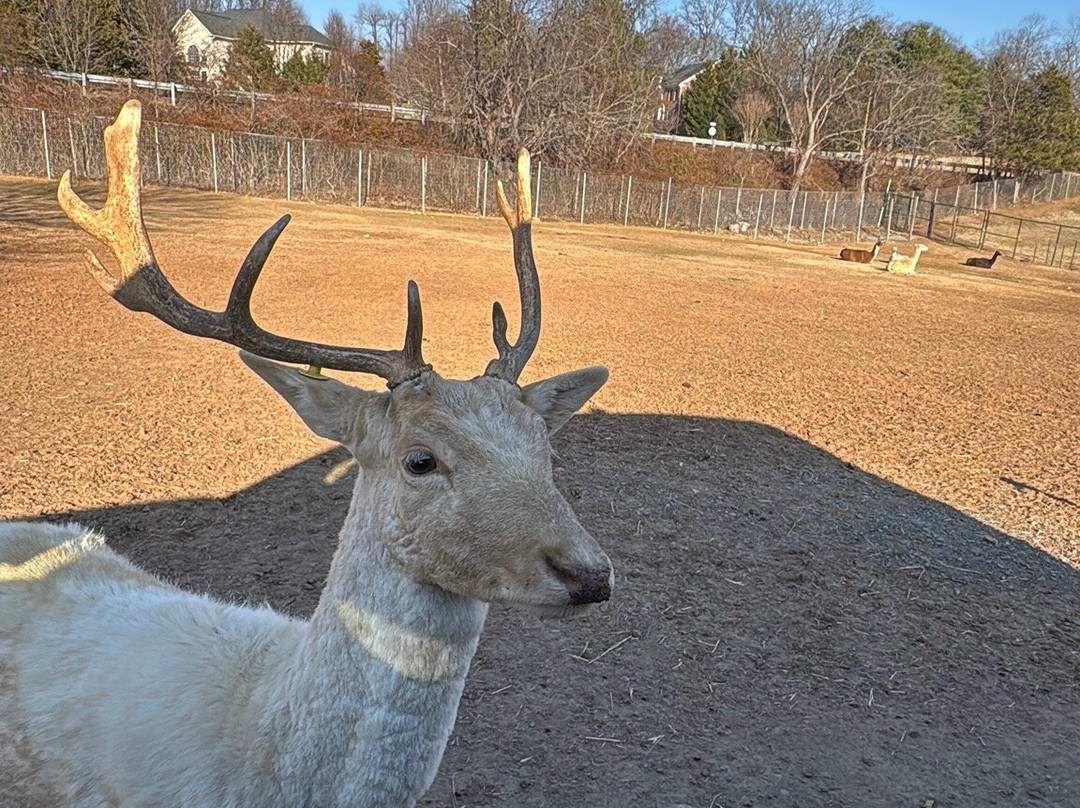 Nova Wild-维也纳必去景点