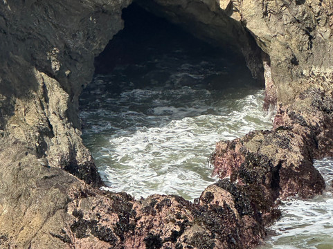 新港牧场旅馆主图