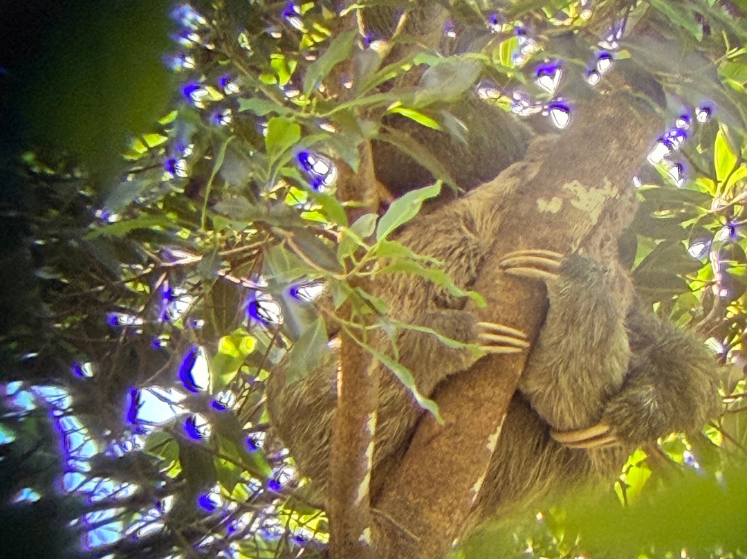 Green Path Costa Rica-Tarcoles必去景点