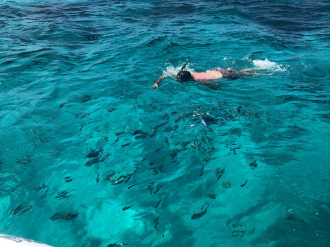 Next Level Charters Cayman-Camana Bay必去景点