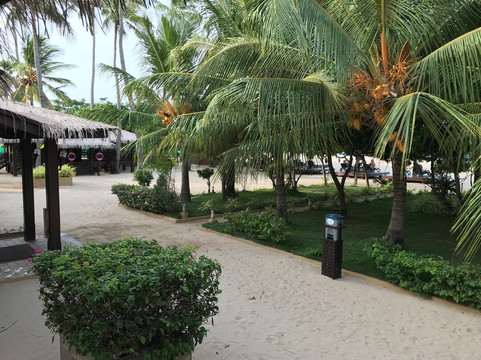 尼拉瓦利海滩酒店主图