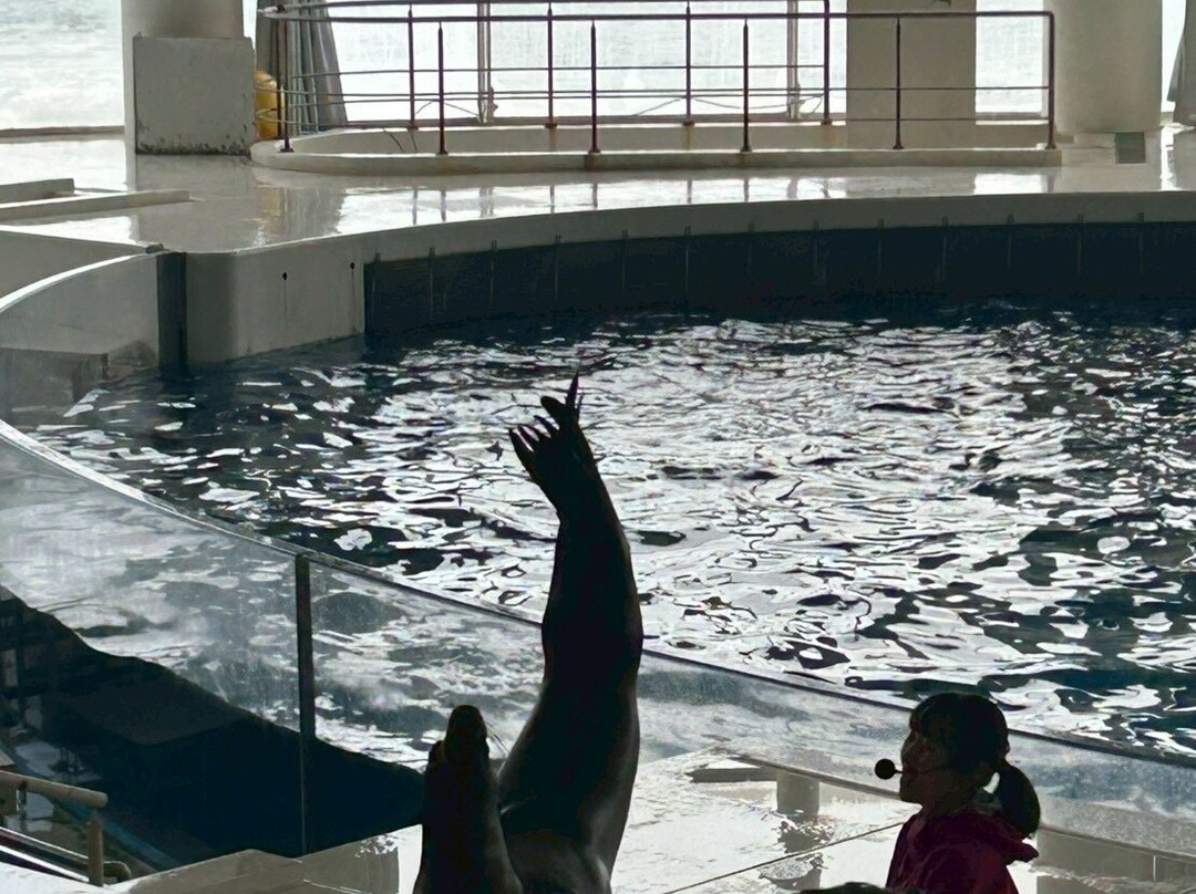 Aqua World Ibaraki Prefectural Oarai Aquarium-大洗町必去景点
