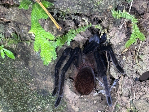 Santa Lucia Falls-乌维塔必去景点