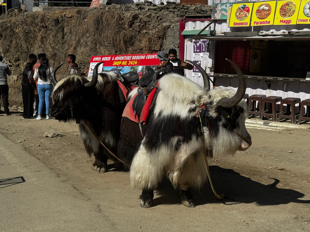 Clique Holidays-新德里必去景点