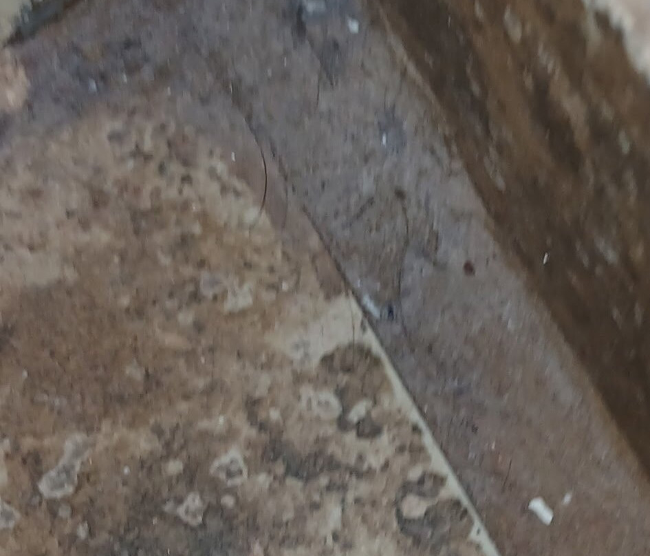 维多利亚酒店主图