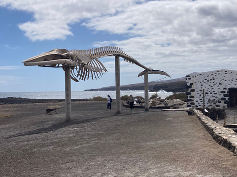 Museo de Las Salinas del Carmen-Antigua必去景点