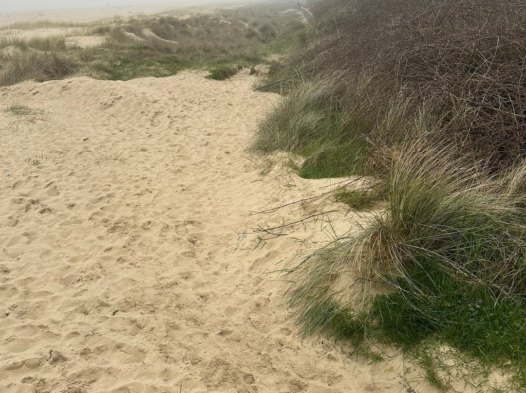 Caister-on-Sea Beach-Caister-on-Sea必去景点