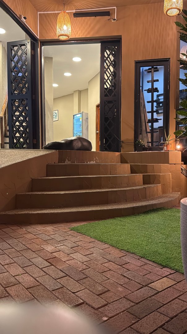 莫克尼亚酒店-浴室