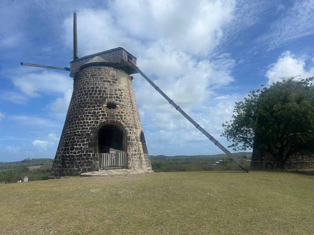 Tropical Adventures - Island Safari-圣 约翰必去景点