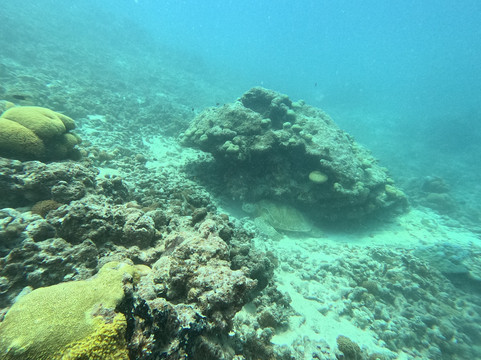 Addu Scuba Dive Maldives-阿斯杜太阳岛必去景点