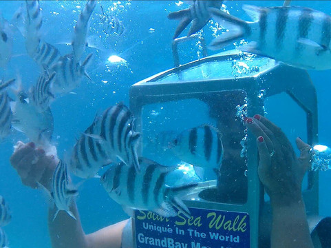 Solar Sea Walk (Undersea Walk Ltd)-大湾必去景点