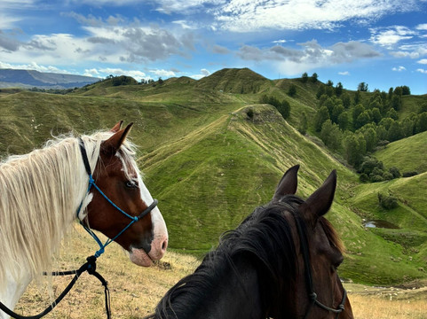 River Valley Adventures-Taihape必去景点