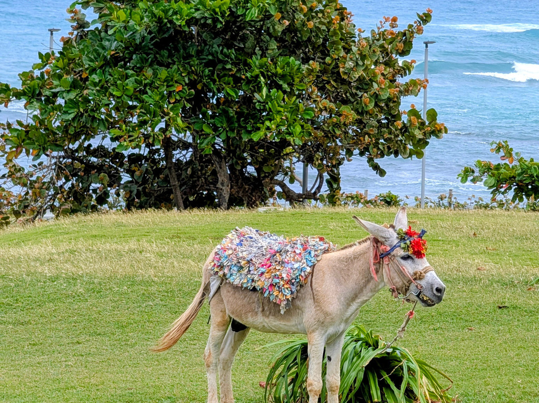 Malecon Puerto Plata-普拉塔港必去景点