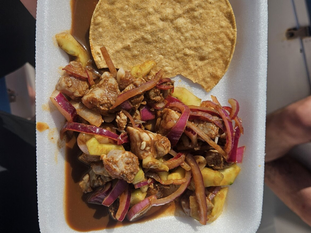 Estefanys Tours-Mismaloya必去景点