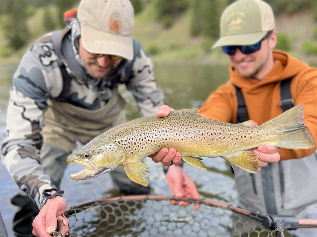 Clark Fork Trout-Saint Regis必去景点