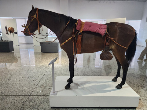 National Museum of Kazakhstan-努尔苏丹必去景点