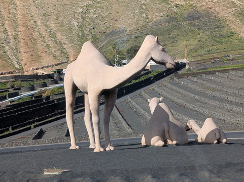 Rotonda De Los Camellos-Uga必去景点