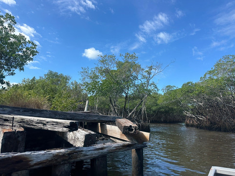 Everglades City Airboat Tours-大沼泽地必去景点