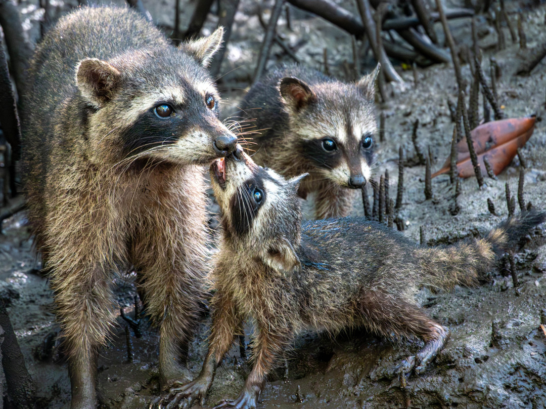 Life Time Travel-萨迪纳尔必去景点