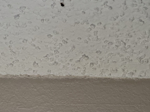 拉斯克鲁塞斯综合康福特套房套房主图