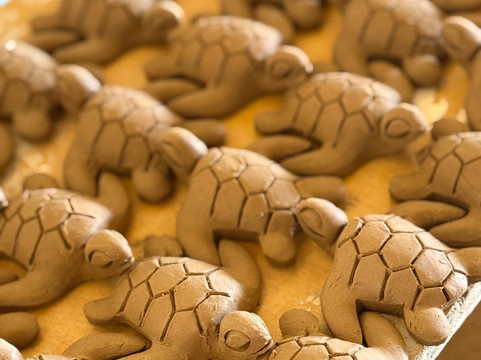 Baobab Tour Private Tours-萨尔雷必去景点