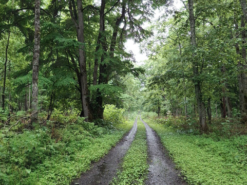 Daisetsuzan National Park-北海道必去景点