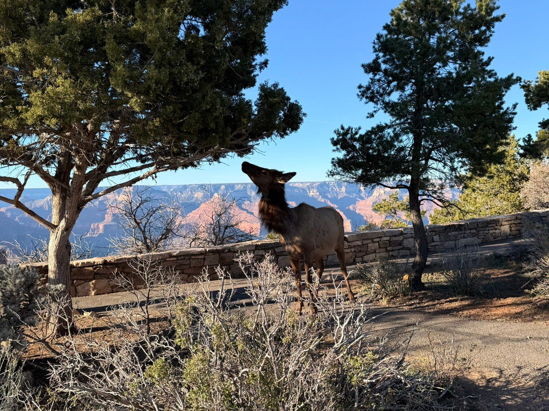 卡奇纳旅馆主图