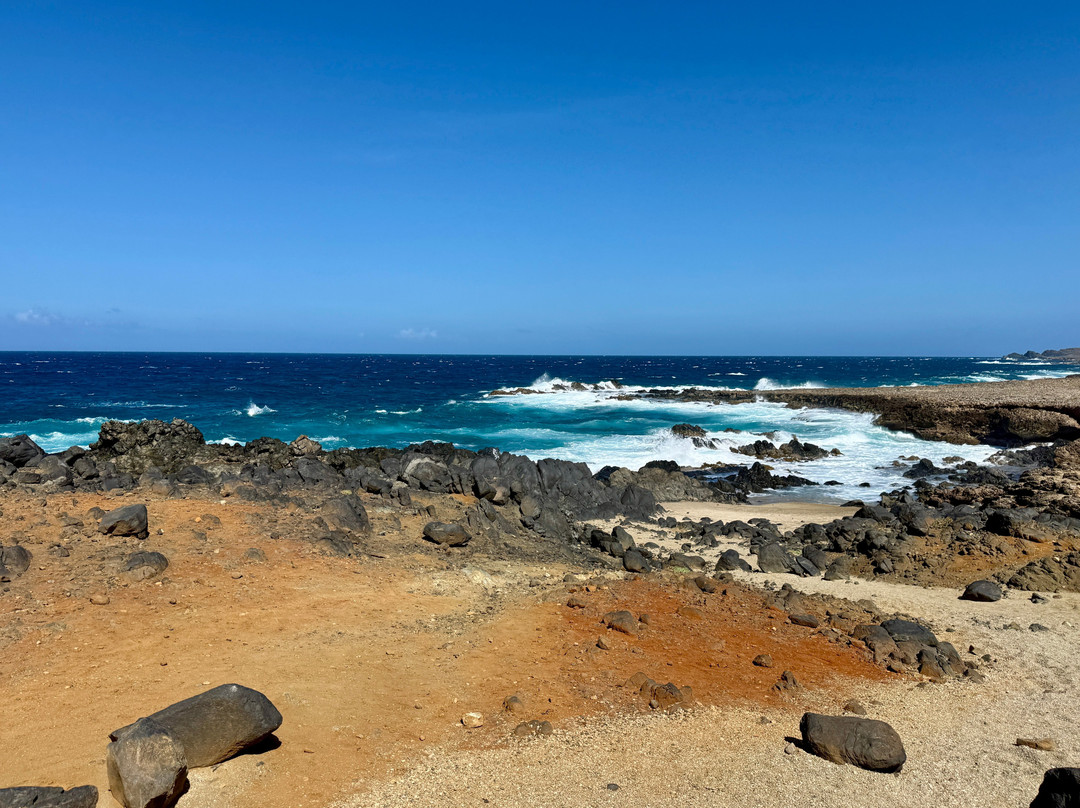 De Palm Tours-奥腊涅斯塔德必去景点