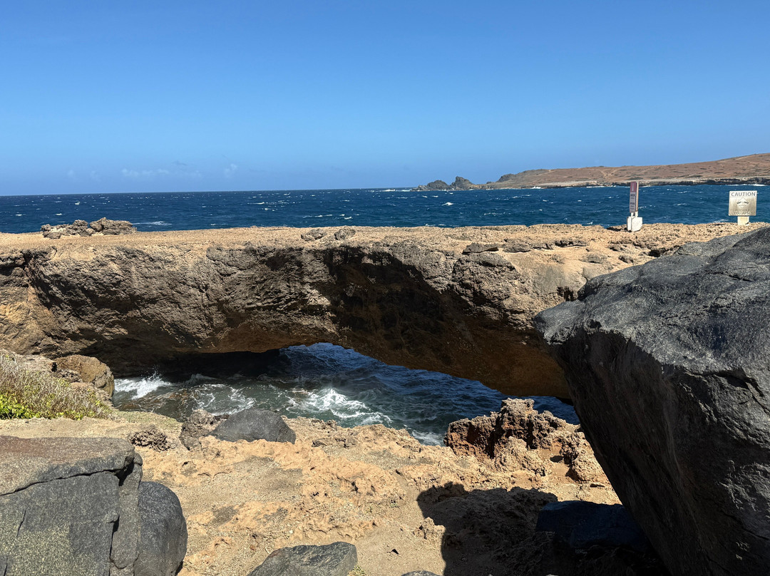 De Palm Tours-奥腊涅斯塔德必去景点