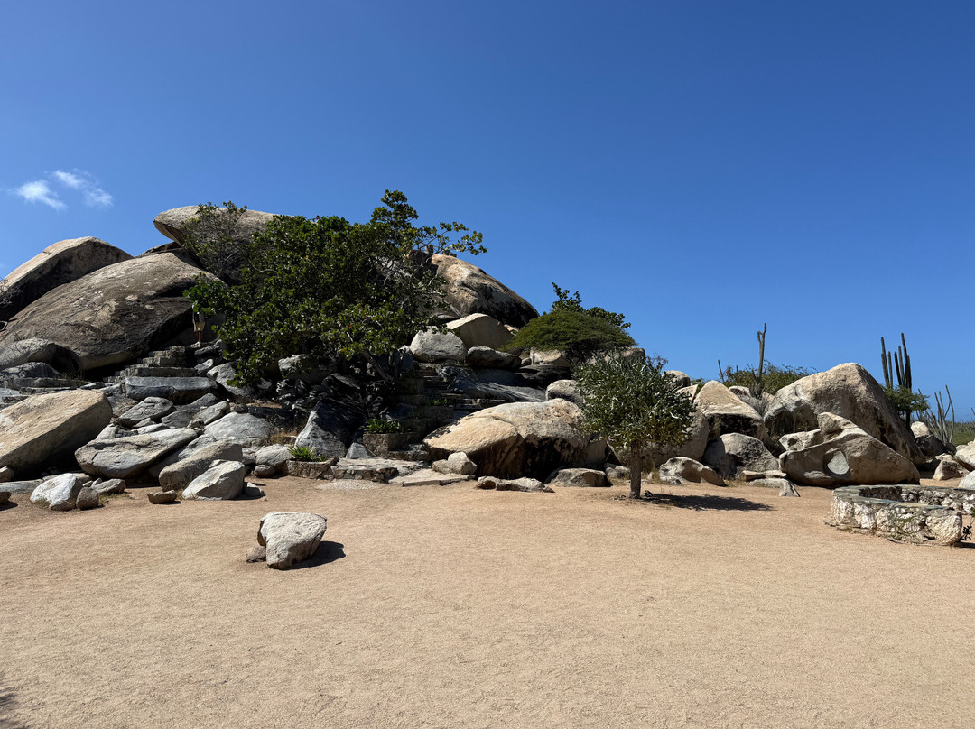De Palm Tours-奥腊涅斯塔德必去景点