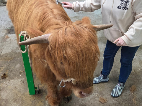 Dumble Farm-比弗利必去景点