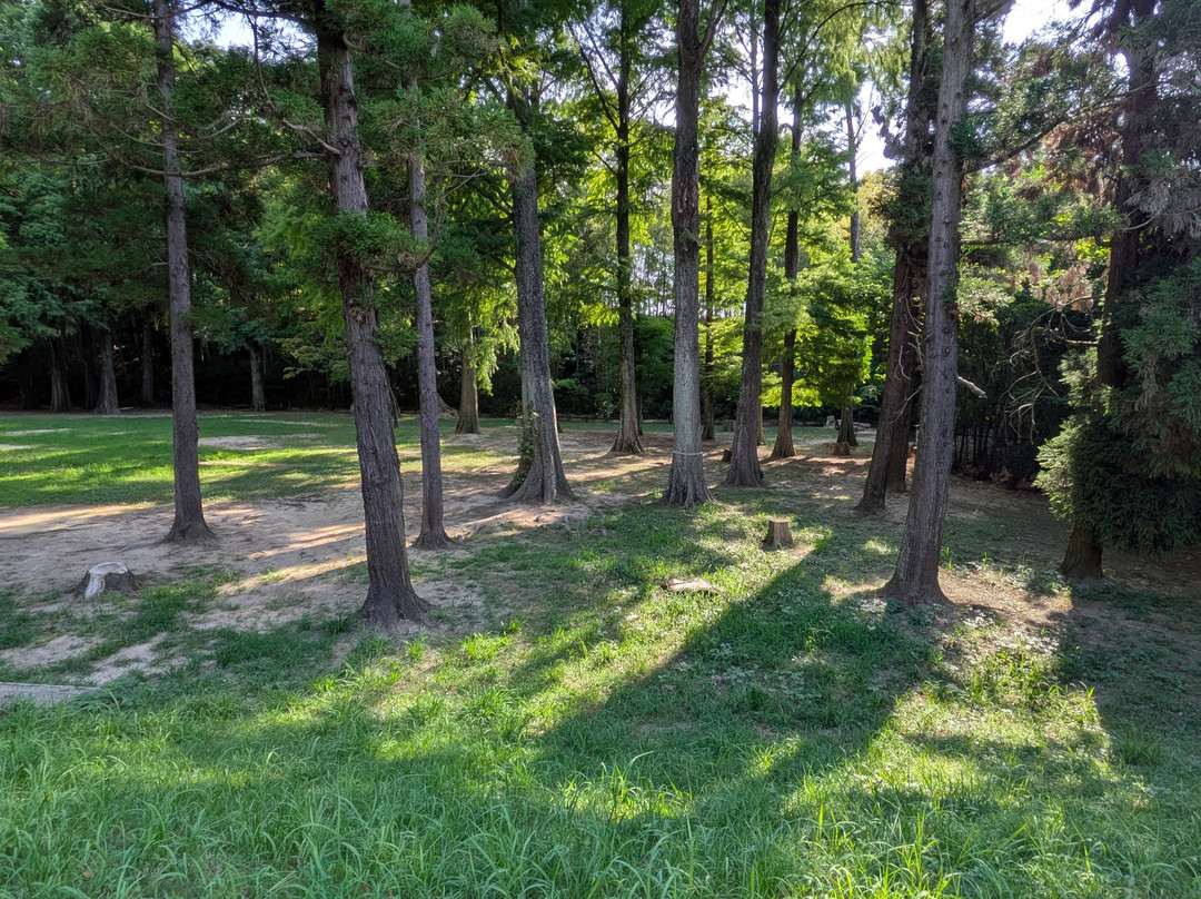 Senri Central Park-丰中市必去景点