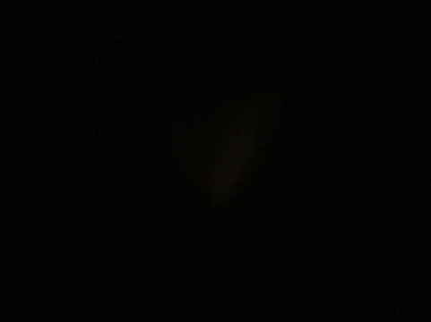 Made in Rome Organic Gelato