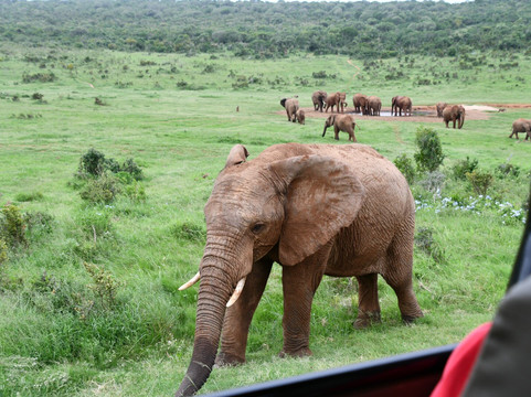 Crisscross Adventures-阿多必去景点