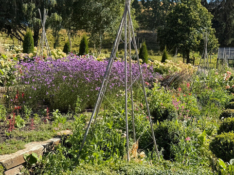 Ayrburn-箭镇必去景点