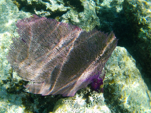 Columbus Isle Excursions-San Salvador必去景点