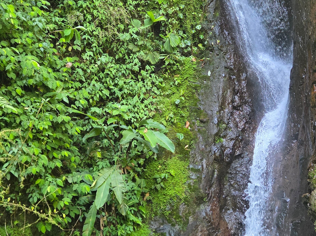 Amstar DMC-利比里亚必去景点