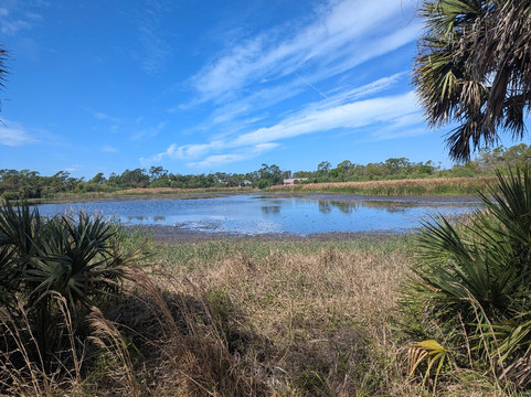 Ollie's Pond Park-夏洛特港必去景点