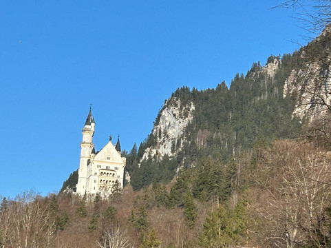 Bavarian Day Tours-慕尼黑必去景点