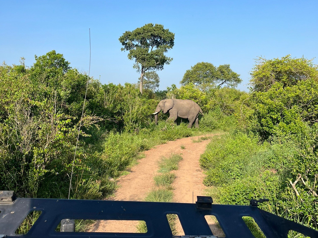 Bigfoot Adventures-内罗毕必去景点