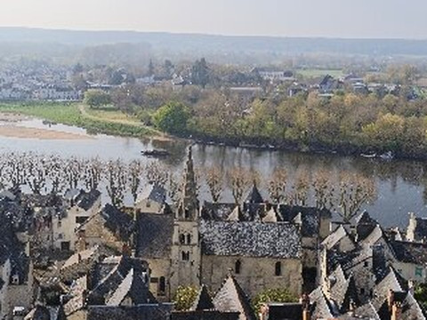 Forteresse Royale De Chinon-希农必去景点